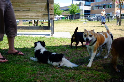 Dog Park «Achieva Paw Park», reviews and photos, 1659 Virginia St, Dunedin, FL 34698, USA