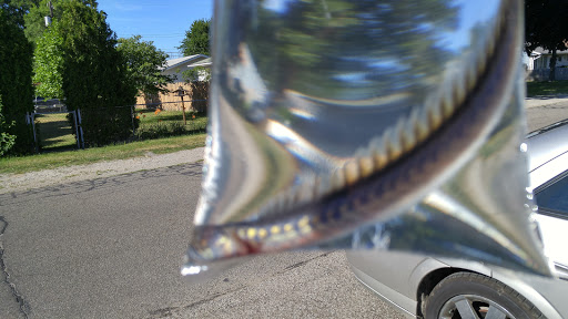 Pet Supply Store «Just Fish», reviews and photos, 205 E Garfield St # 1, Michigan City, IN 46360, USA