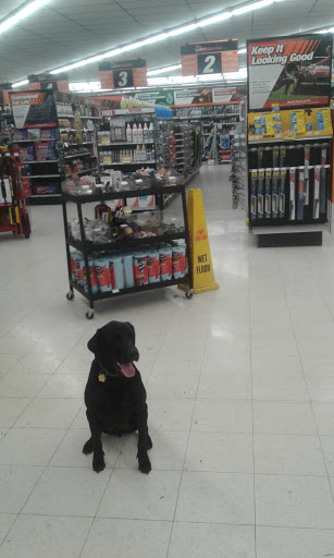 Auto Parts Store «AutoZone», reviews and photos, 1241 N Memorial Dr, Lancaster, OH 43130, USA