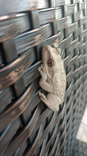 Tobacco Shop «Angry Moon Cigar Bar», reviews and photos, 2401 PGA Boulevard, Palm Beach Gardens, FL 33410, USA