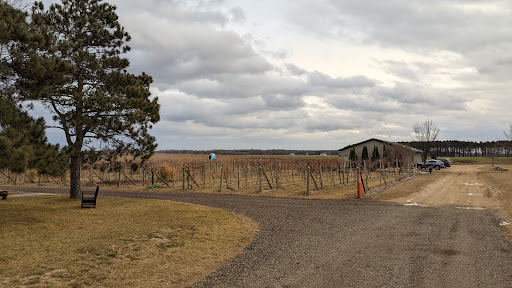 Winery «Alexis Bailly Vineyard», reviews and photos, 18200 Kirby Ave S, Hastings, MN 55033, USA