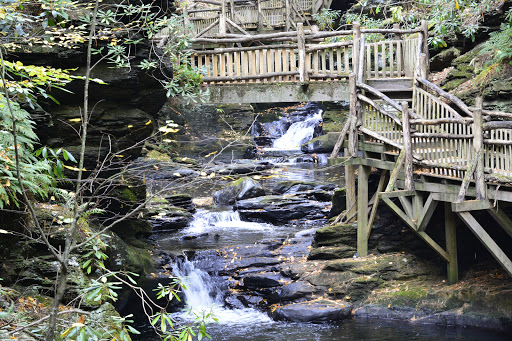Pet Store «Abrams and Weakley General Store for Animals», reviews and photos, 3963 N 6th St, Harrisburg, PA 17110, USA