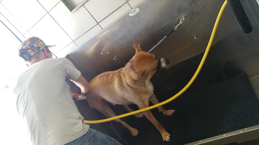 Pet Supply Store «Pet Supplies Plus», reviews and photos, 1726 Dekalb Pike, Blue Bell, PA 19422, USA