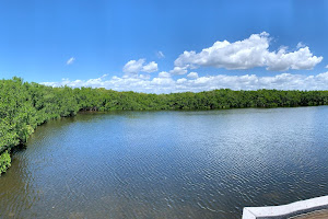 Weedon Island Preserve Cultural and Natural History Center
