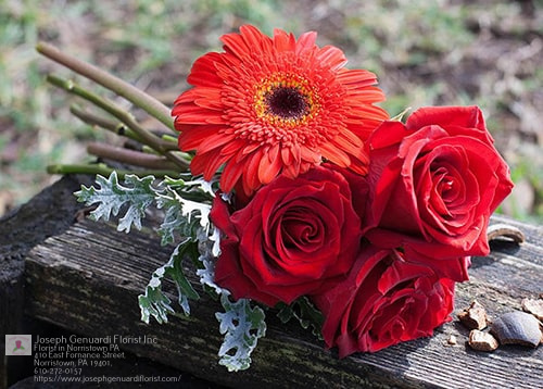 Florist «Joseph Genuardi Florist Inc», reviews and photos, 410 E Fornance St, Norristown, PA 19401, USA
