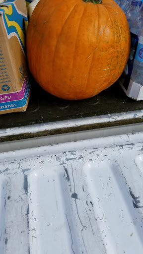 Supermarket «ALDI», reviews and photos, 62 Chase Ave, Waterbury, CT 06704, USA