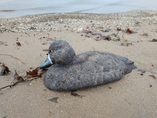 Park «Pier Park», reviews and photos, 350 Lake Shore Rd, Grosse Pointe Farms, MI 48236, USA