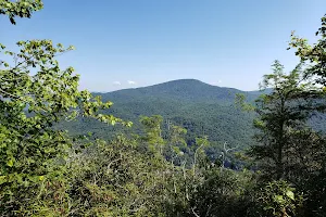 Florence Nature Preserve image