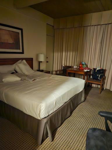 Mikado Hotel image