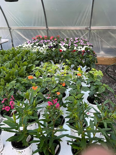 Florist «TG Designs», reviews and photos, 19231 Longmeadow Rd, Hagerstown, MD 21742, USA