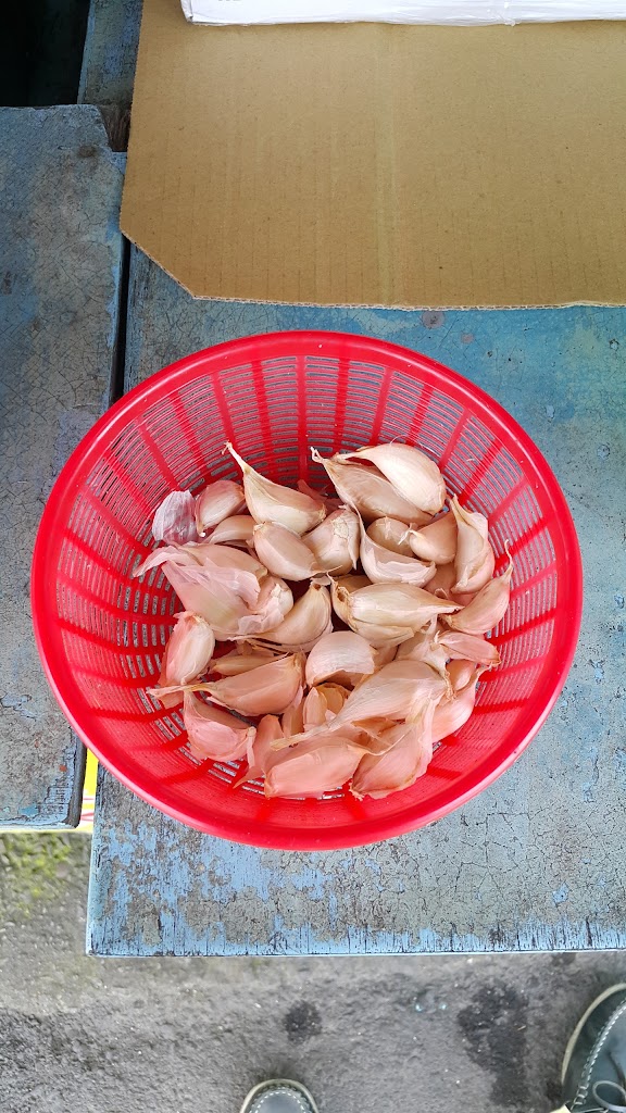 阿通伯清草茶 的照片