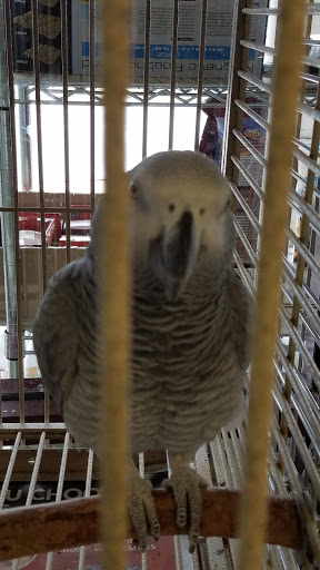 Pet Store «A Family Pet Center», reviews and photos, 6230 N Lockwood Ridge Rd, Sarasota, FL 34243, USA