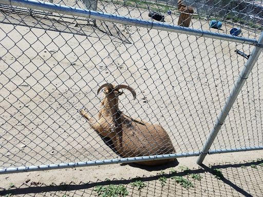 Zoo «Sierra Safari Zoo», reviews and photos, 10200 N Virginia St, Reno, NV 89506, USA