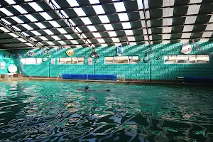 Seahorse Swim School image