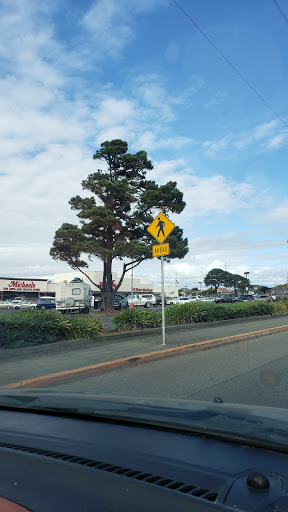 Shopping Mall «The Eureka Mall», reviews and photos, 800 W Harris St, Eureka, CA 95501, USA