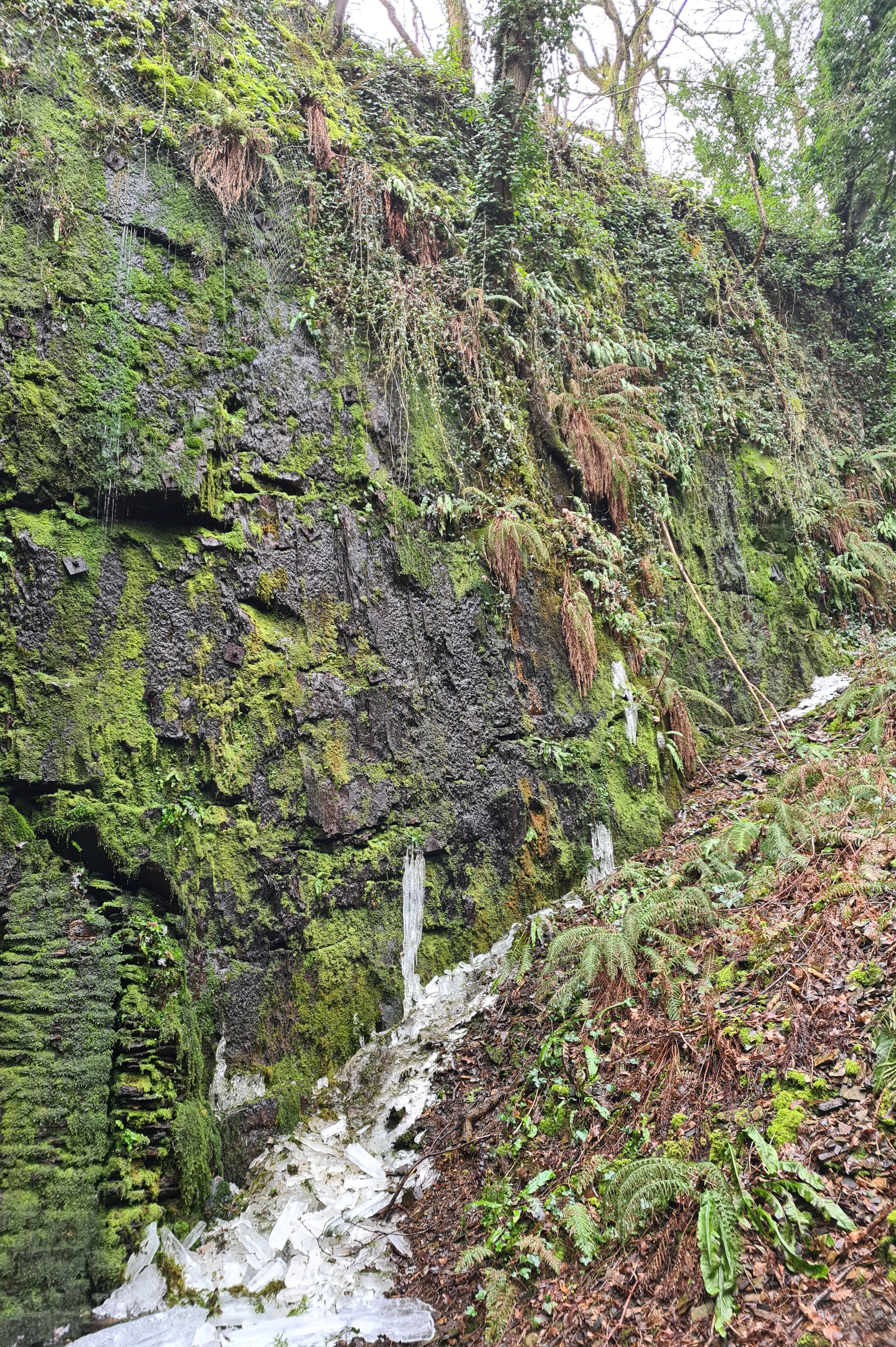 Photo n° 2 de l'avis de Melanie.a fait le 17/02/2021 à 12:01