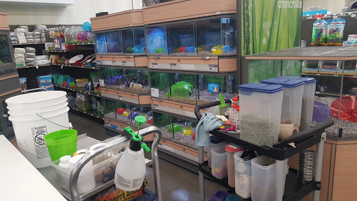 Pet Supply Store «Petco Animal Supplies», reviews and photos, 2687 Countryside Dr, Turlock, CA 95380, USA