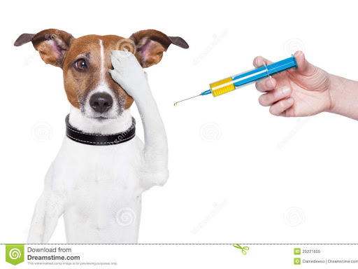 Tack Shop «J & T Country Feeds Inc», reviews and photos, 4835 W 10th St, Greeley, CO 80634, USA