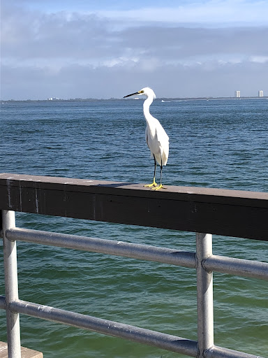 Vacation Home Rental Agency «Kingfisher Vacations», reviews and photos, 2402 Palm Ridge Rd #1, Sanibel, FL 33957, USA