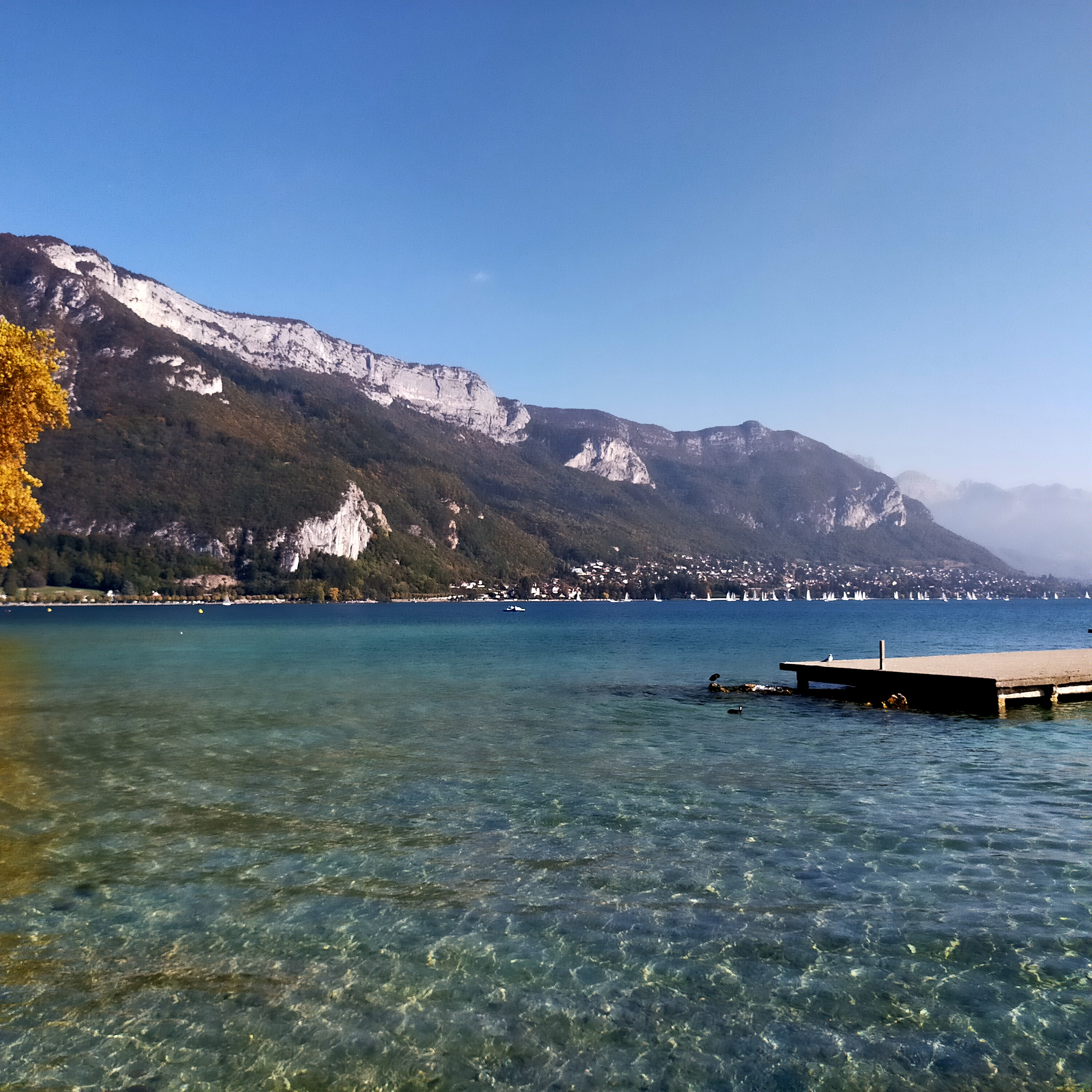 Photo n° 5 de l'avis de NICORA.E fait le 18/10/2021 à 18:16