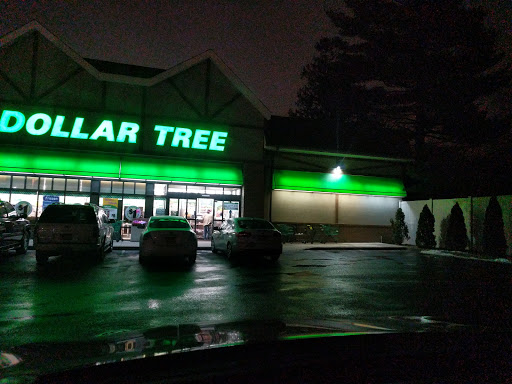 Dollar Store «Dollar Tree», reviews and photos, 250 Jericho Turnpike #80, Floral Park, NY 11001, USA