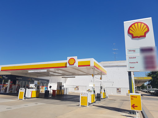 Shell Temora