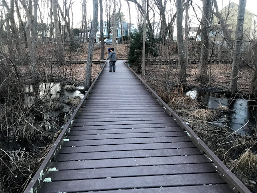 Nature Preserve «Dolan Pond Conservation Area», reviews and photos, Webster Park, West Newton, MA 02465, USA