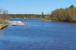 Umeälvens delta image