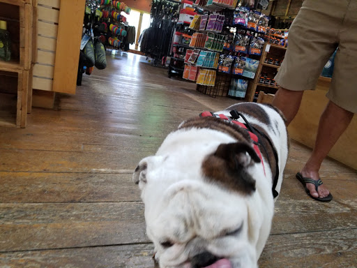 Outdoor Sports Store «Cadillac Mountain Sports», reviews and photos, 32 High St, Ellsworth, ME 04605, USA