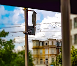 Café Spitz photo