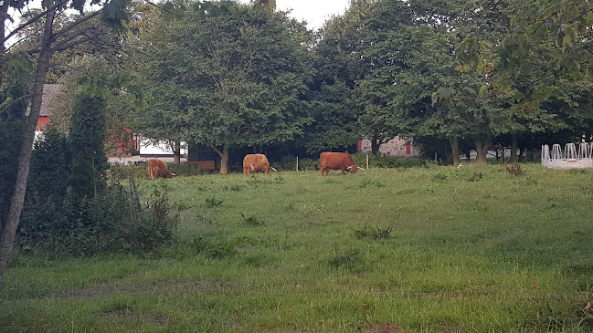 Kommentarer og anmeldelser af Skee Bed and Breakfast