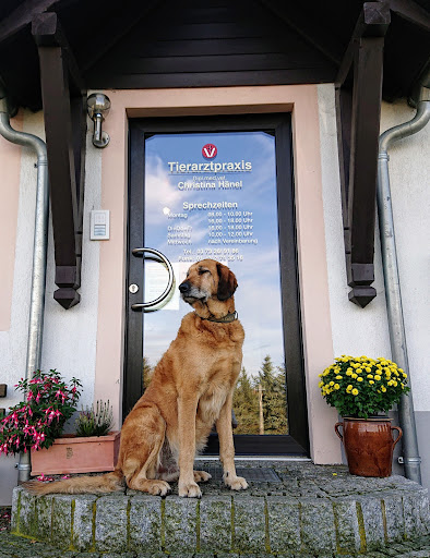 Tierarztpraxis Zur Steinbrückmühle unter Hartmannsdorf-Reichenau, Sachsen