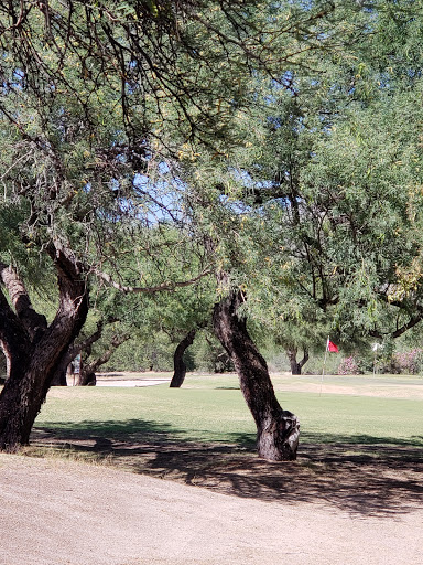 Golf Course «Quail Canyon Golf Course», reviews and photos, 5910 N Oracle Rd, Tucson, AZ 85704, USA