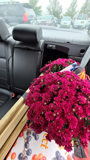 Home Improvement Store «The Home Depot», reviews and photos, 172 Fulton Ave, Hempstead, NY 11550, USA