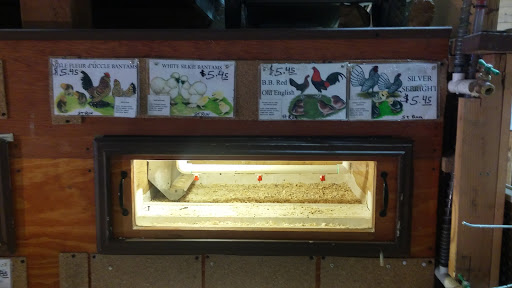 Pet Supply Store «Bradshaw Feed & Pet Supply», reviews and photos, 7285 Bradshaw Rd, Sacramento, CA 95829, USA