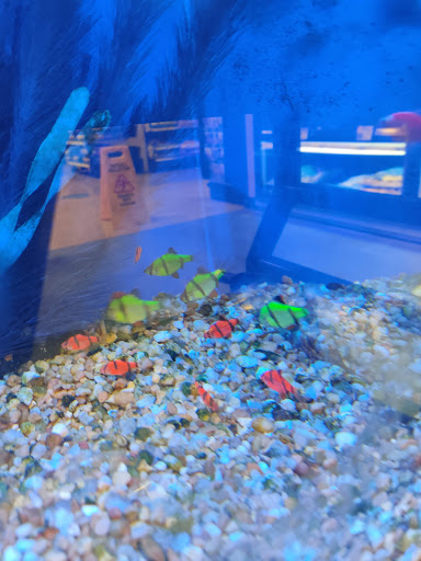 Pet Supply Store «PetSmart», reviews and photos, 215 Needham St, Newton, MA 02464, USA