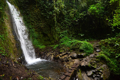 Santuario Nacional Pampa Hermosa