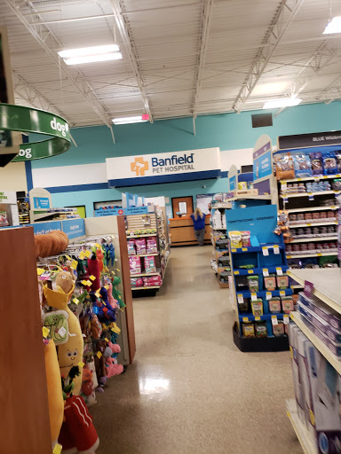 Pet Supply Store «PetSmart», reviews and photos, 1275 N Military Hwy, Norfolk, VA 23502, USA