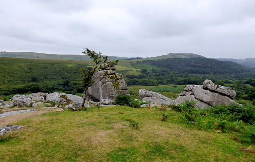 Burrator Reservoir