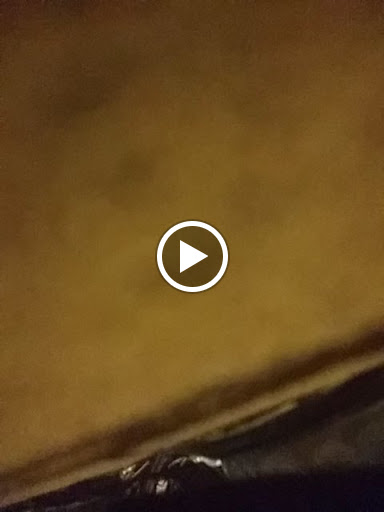 Tattoo Shop «Eternal Tattoo», reviews and photos, 3207 S Campbell Ave, Springfield, MO 65807, USA