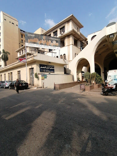 Al-Manial Specialized University Hospital