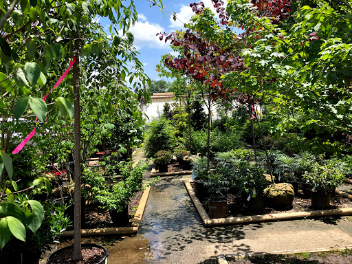 Plant Nursery «A Growing Concern Garden Center», reviews and photos, 1707 Spartanburg Hwy, Hendersonville, NC 28792, USA