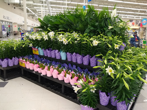 Grocery Store «Meijer», reviews and photos, 6550 Harrison Ave, Cincinnati, OH 45247, USA