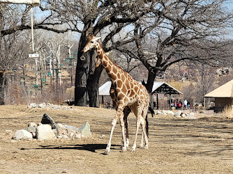 Omaha's Henry Doorly Zoo and Aquarium