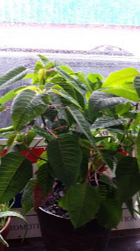 DJ's Auto Service, Inc - Photo 2 - Car repair in Forest Park, GA, South Fulton