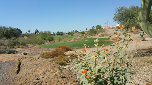 Golf Club «Coyote Lakes Golf Club», reviews and photos, 18800 N Coyote Lakes Pkwy, Surprise, AZ 85374, USA