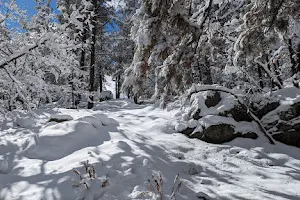 Flagstaff Snow Park image