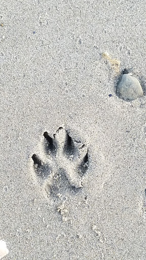 Park «Rose Larisa Park», reviews and photos, 701 Bullocks Point Ave, Riverside, RI 02915, USA