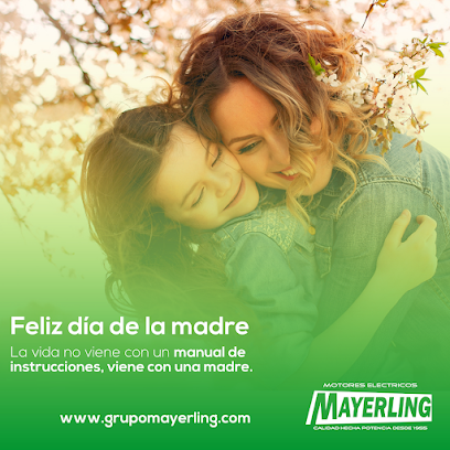 Mayerling Motores Electricos