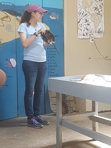 Nature Preserve «Nature Center of Cape May», reviews and photos, 1600 Delaware Ave, Cape May, NJ 08204, USA